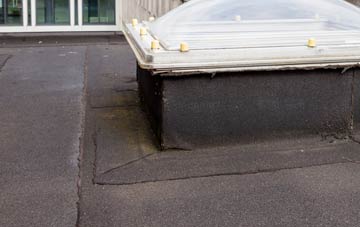 disadvantages of Hassell Street flat roofs